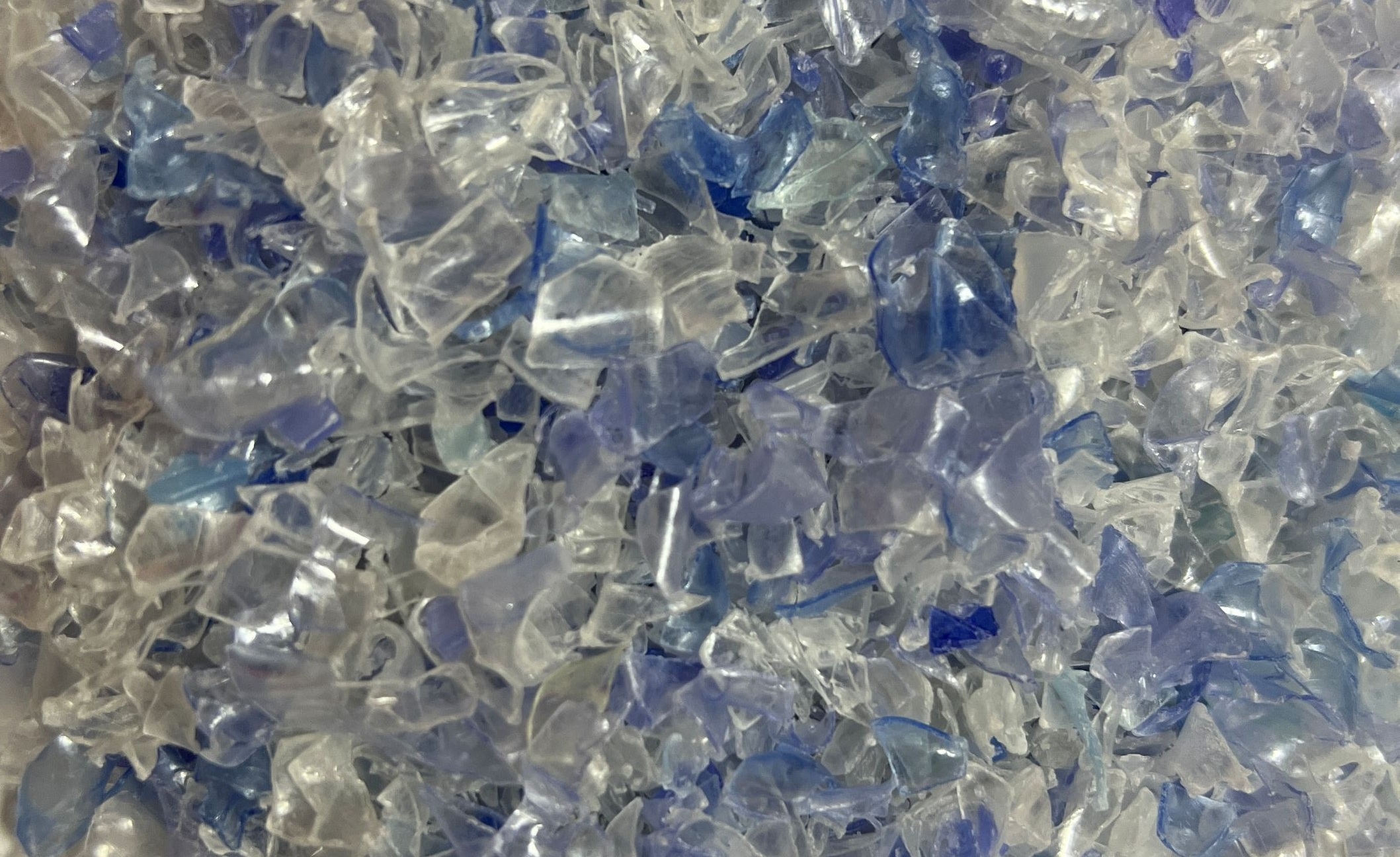 Blue–White RPET Flakes